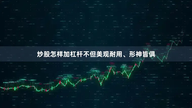 炒股怎样加杠杆不但美观耐用、形神皆俱