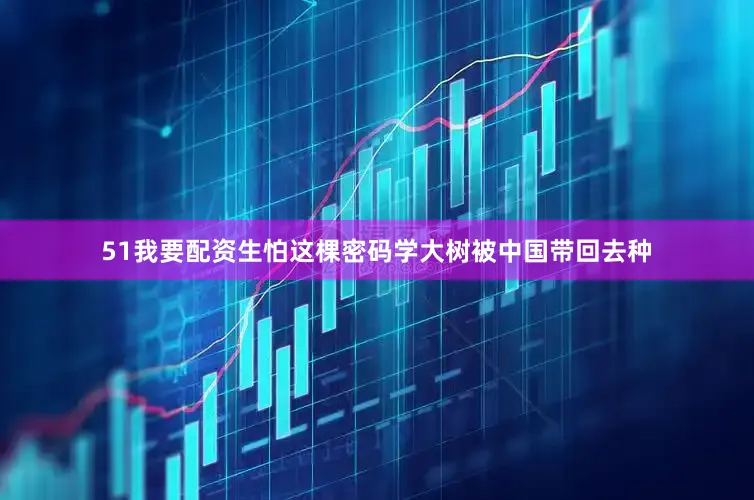 51我要配资生怕这棵密码学大树被中国带回去种