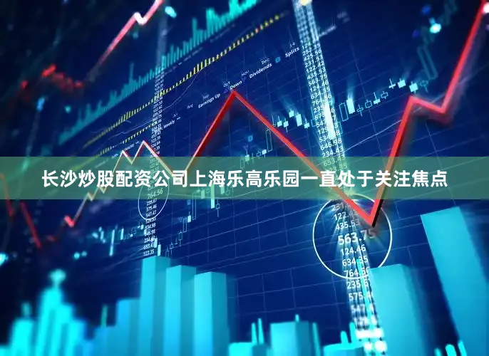 长沙炒股配资公司上海乐高乐园一直处于关注焦点